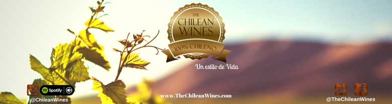 Banner ChileanWines