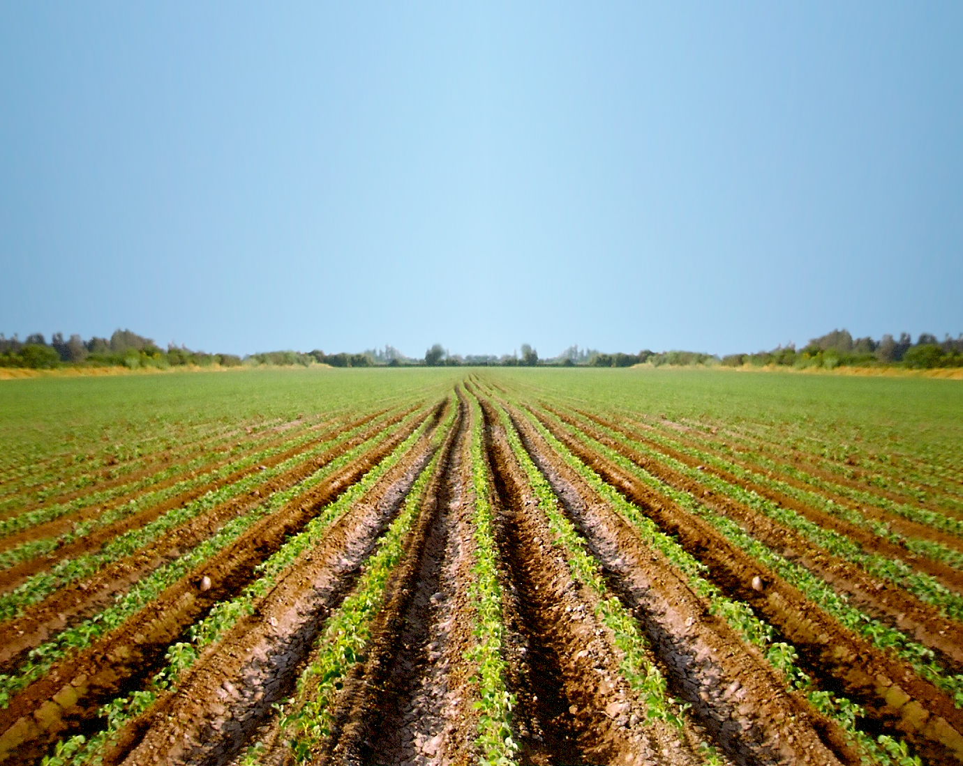 Banner Máquinas Quijada