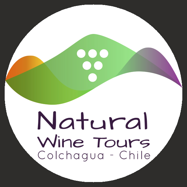 Banner NATURAL WINE TOURS