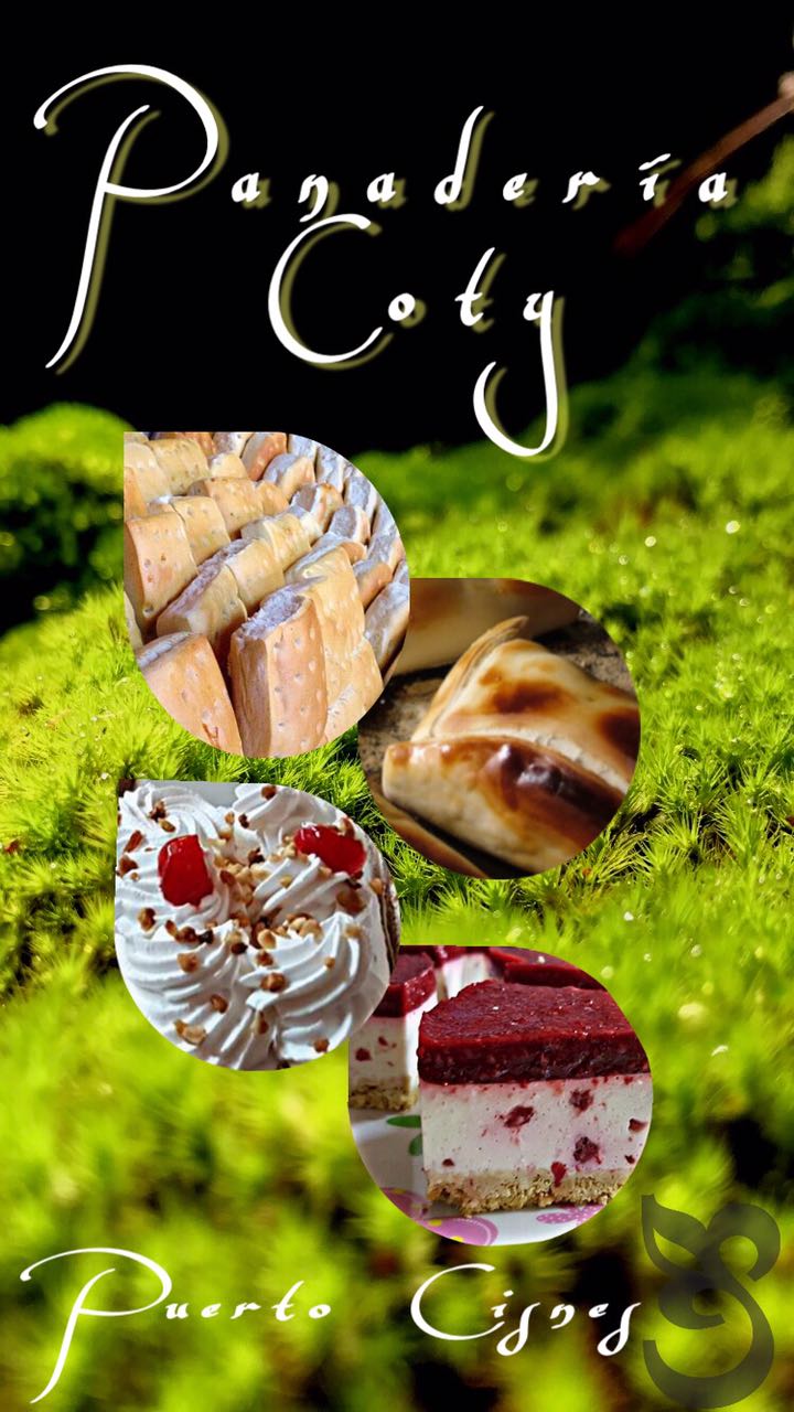 Banner Panaderia coty