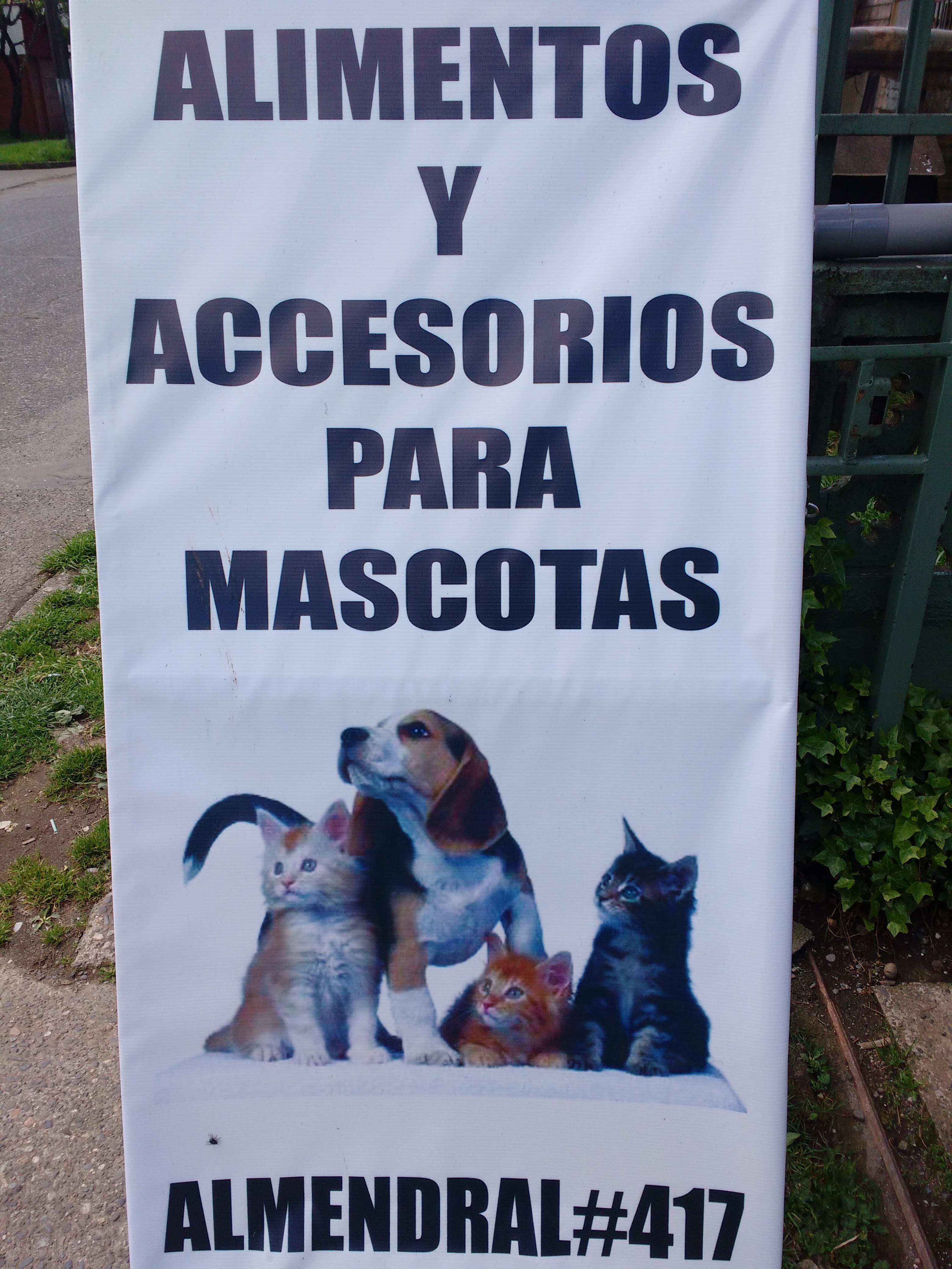 Banner Kings Mascotas Valdivia