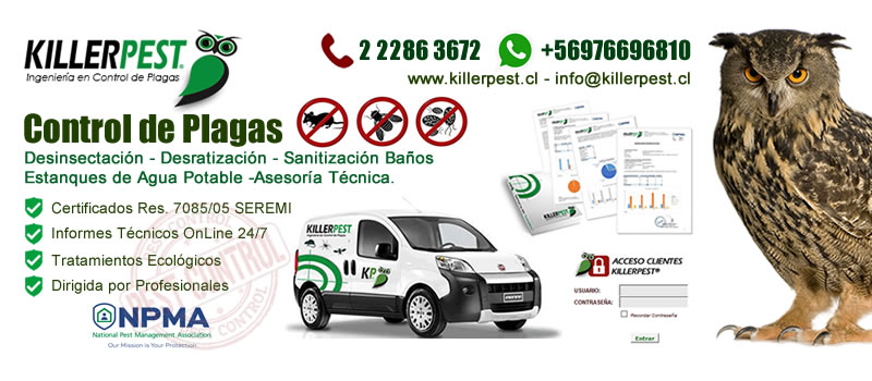 Banner KILLERPEST LTDA. - CONTROL DE PLAGAS Y FUMIGACIONES