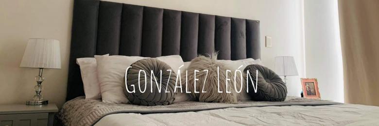 Banner González León