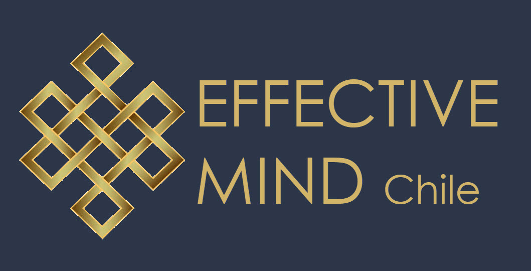 Logo Effective Mind Chile