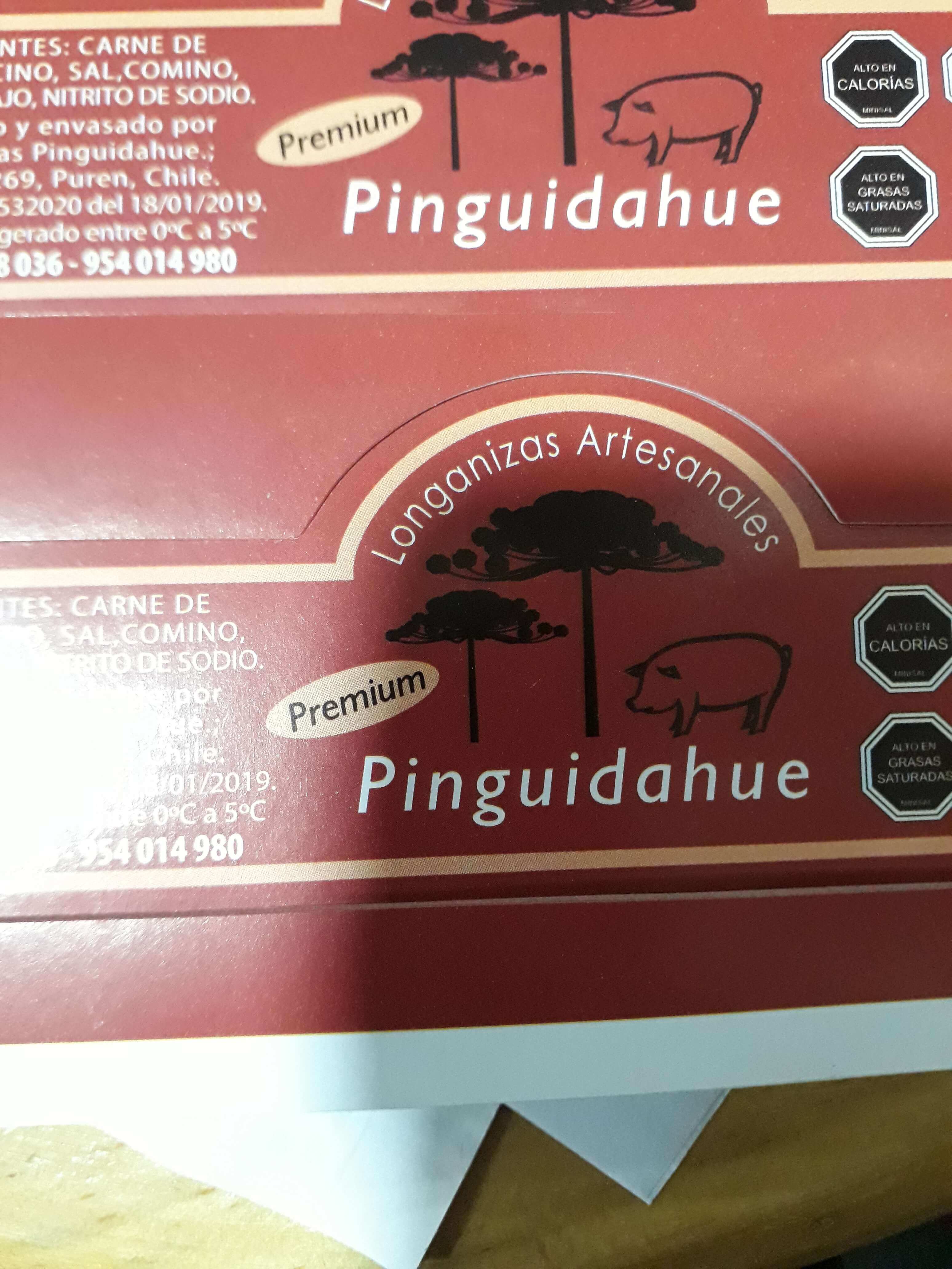 Logo Longanizas artesanales pinguidahue