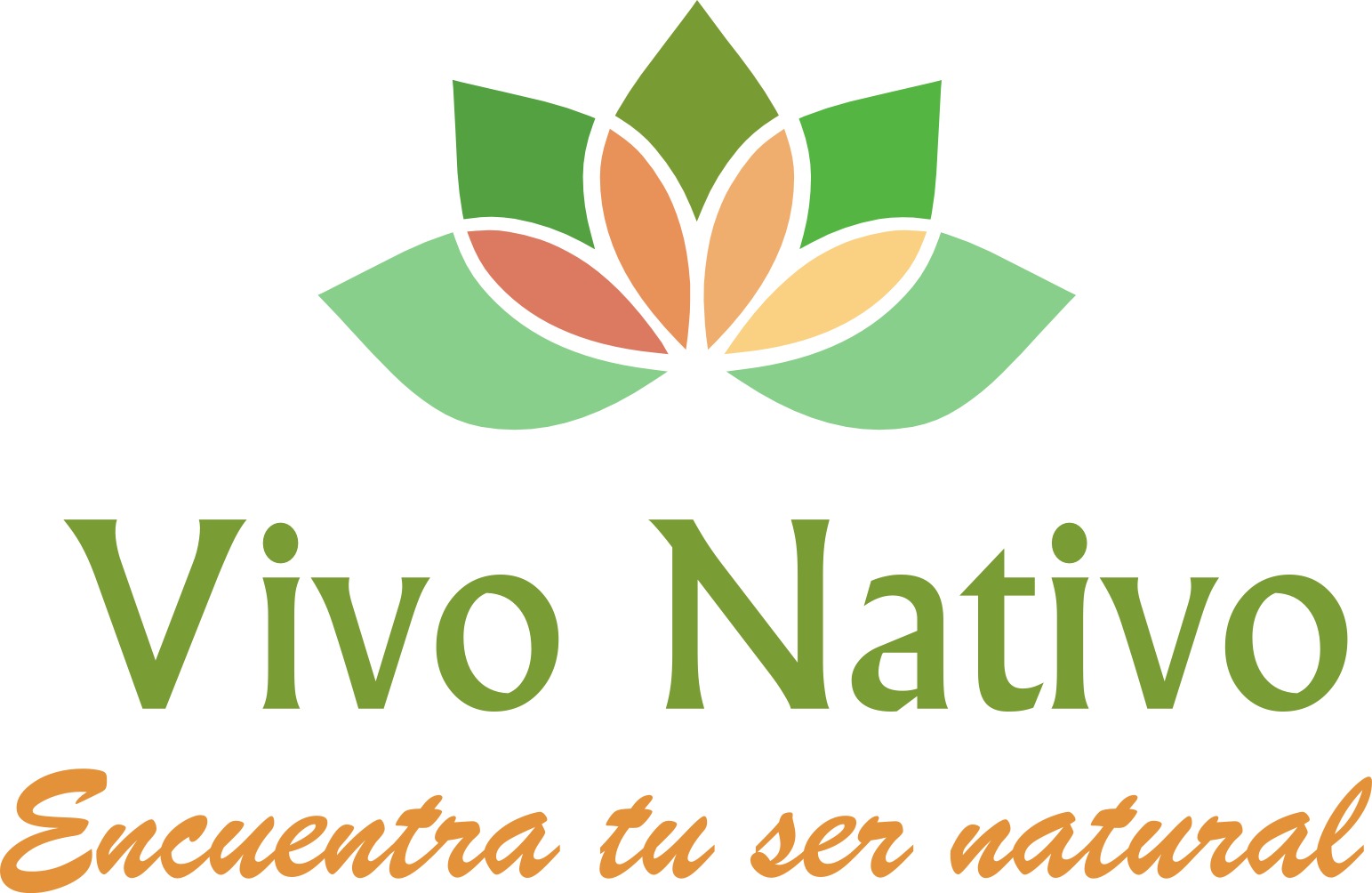 Logo Vivonativo