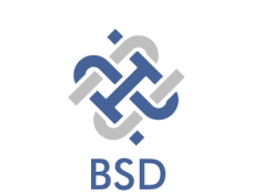 Logo BSD Servicios Empresariales