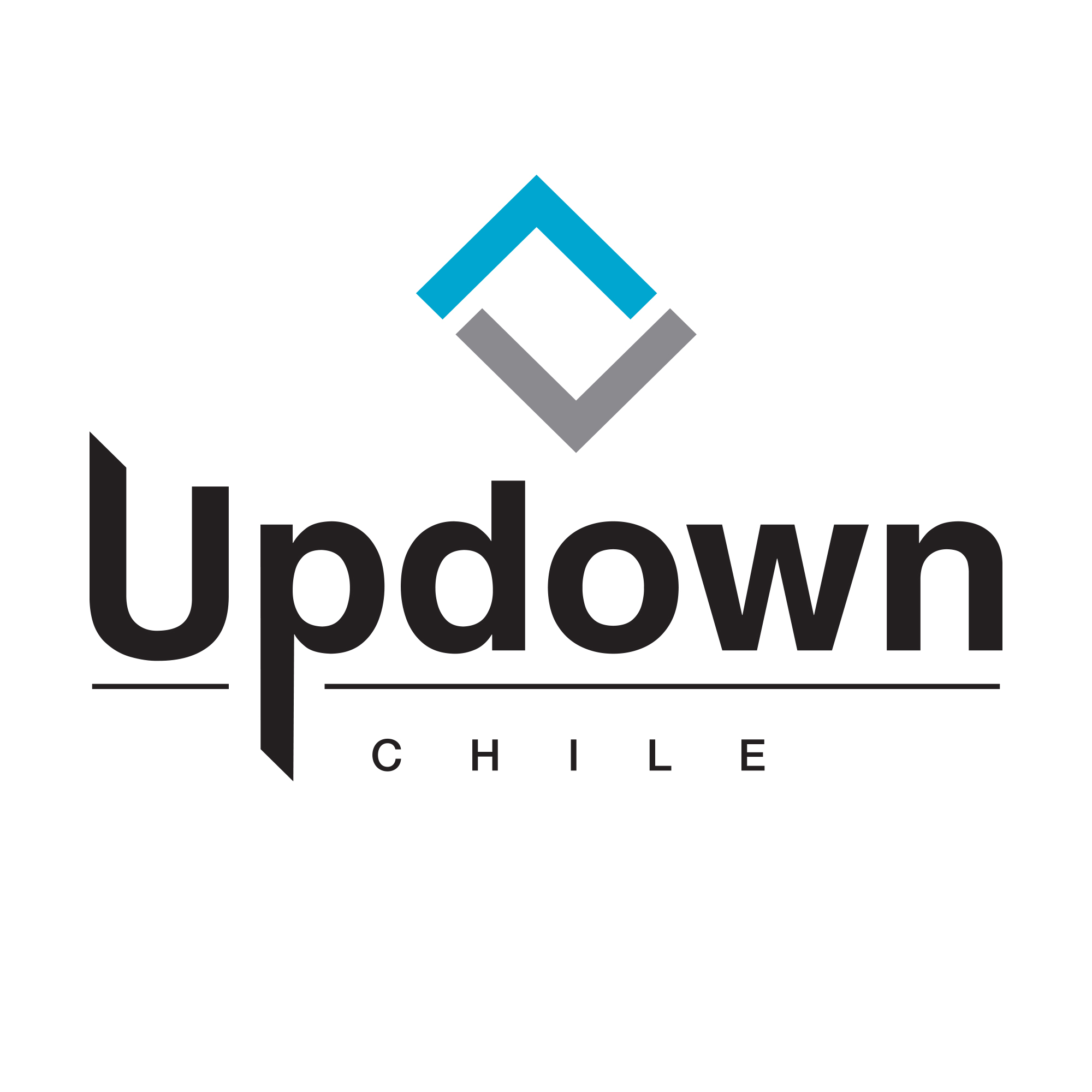 Logo UPDOWN