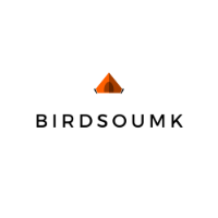 Logo birsoumk