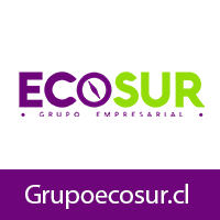 Logo Grupo Ecosur