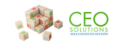 Logo CEOSOLUTIONS_Oficial