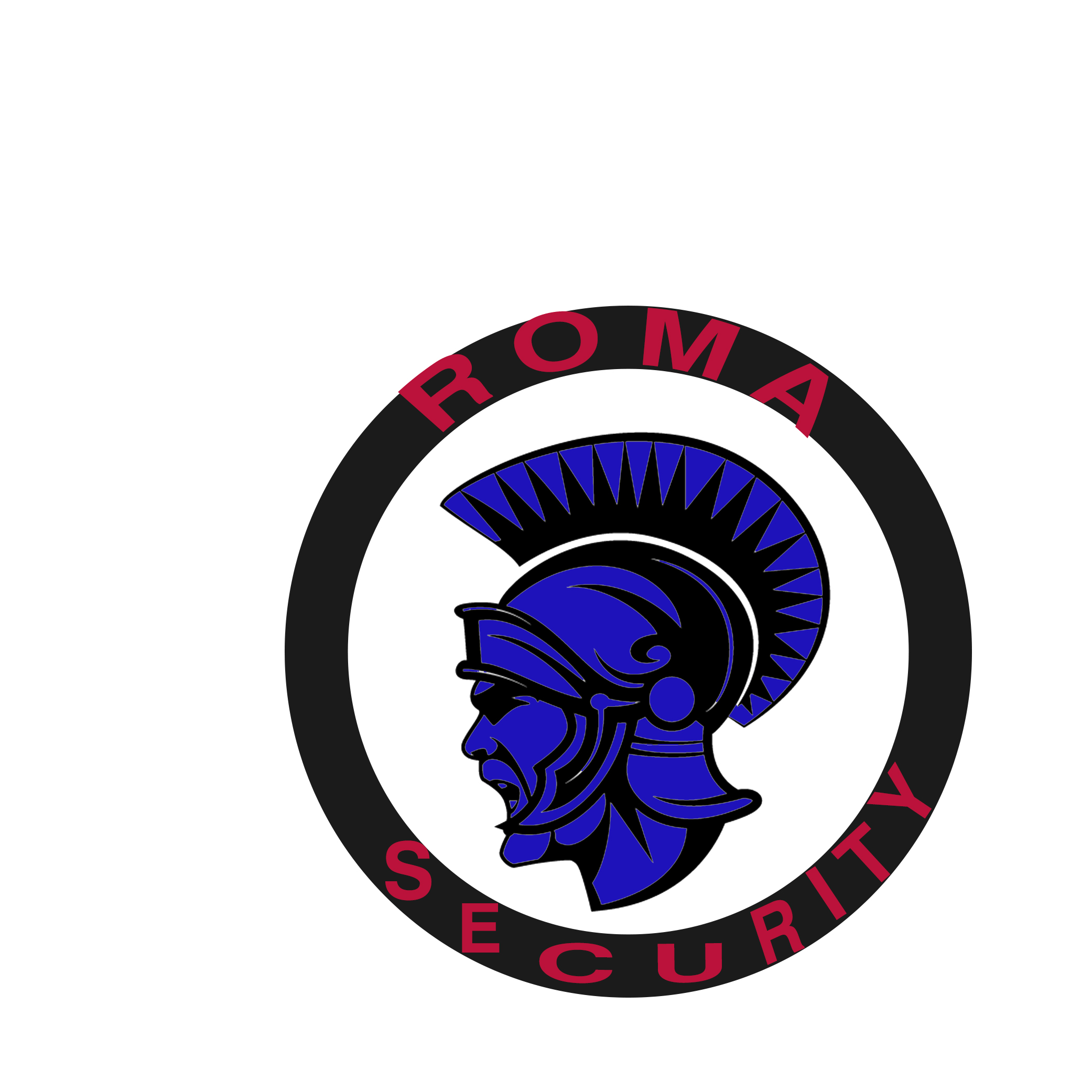 Logo ROMA SECURITY Y GESTION