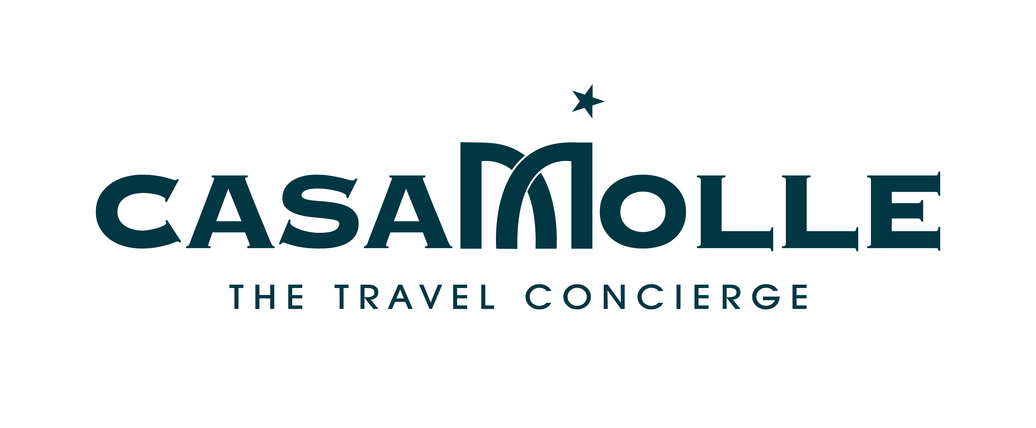 Logo CasaMolle The Space