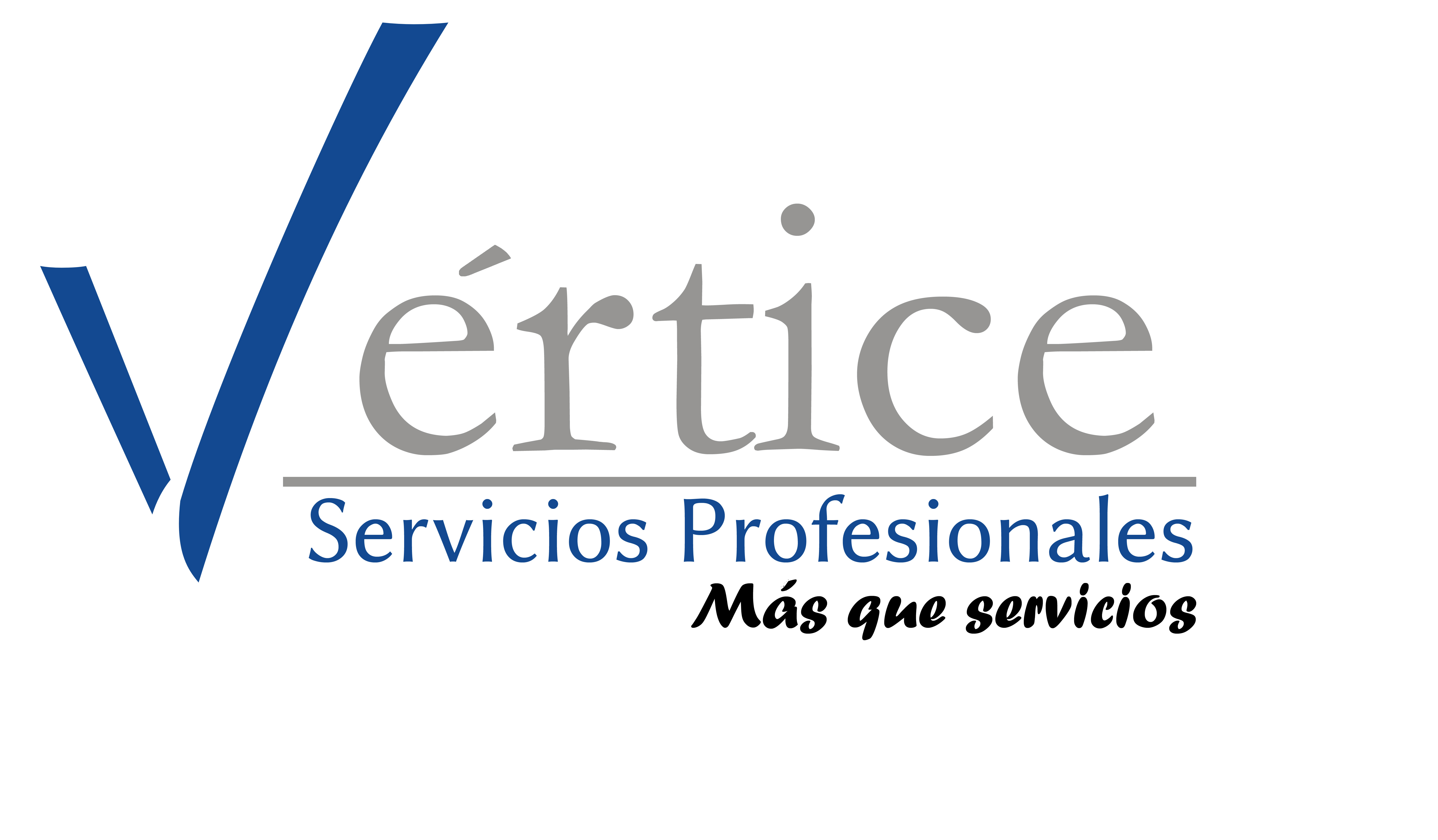 Logo Vértice Servicios Profesionales