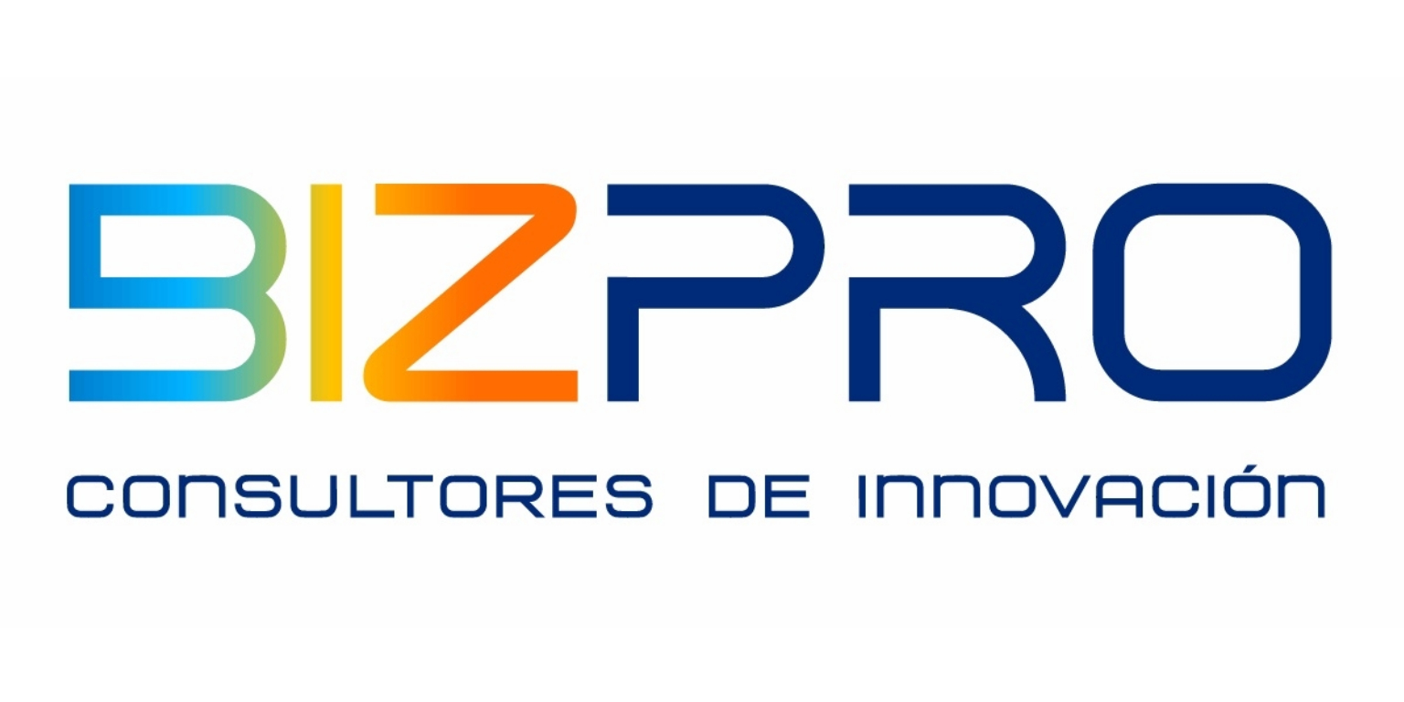 Logo BIZPRO CONSULTORES SPA