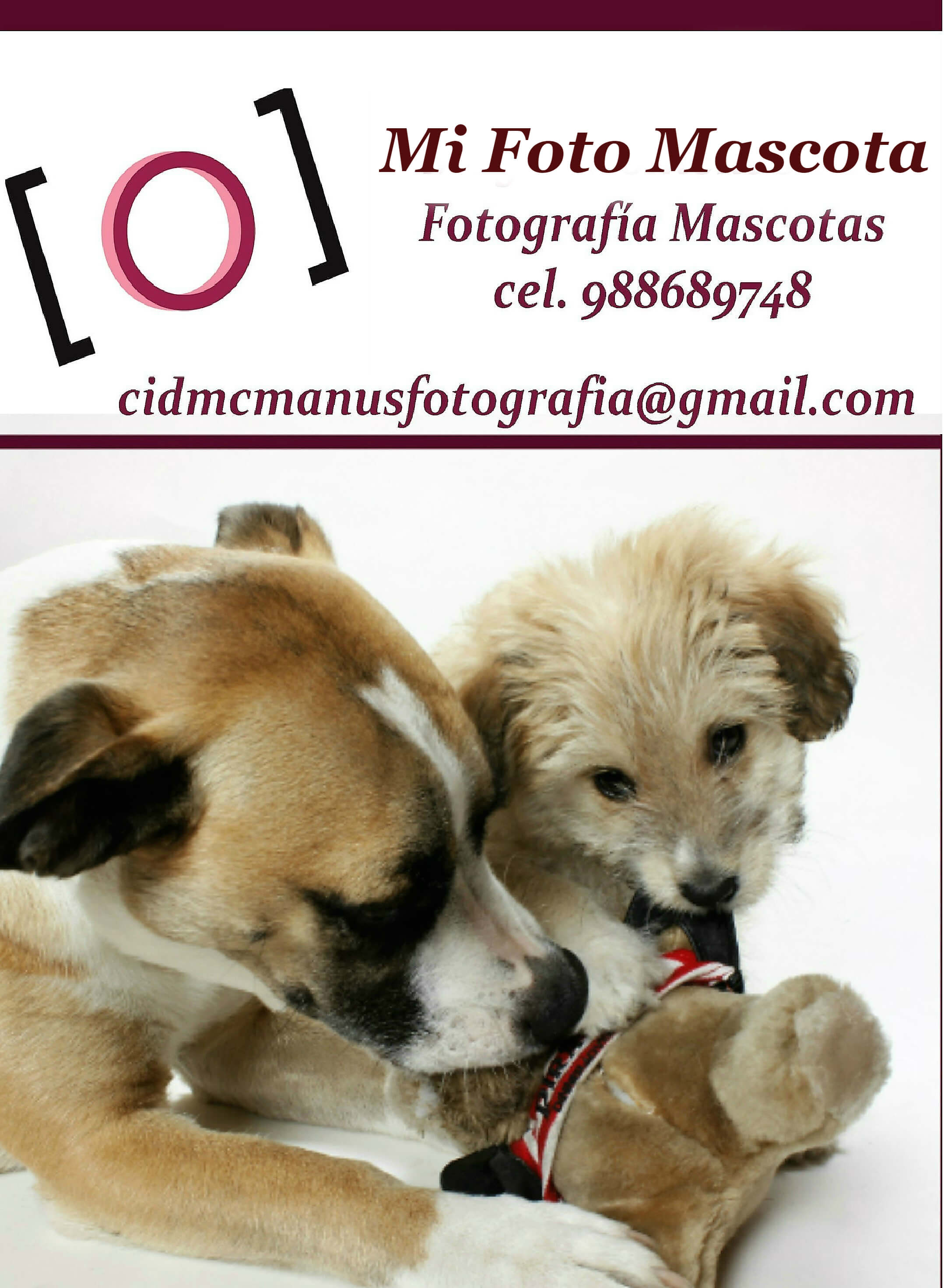 Logo Mi Foto Mascota