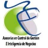 Logo Asesorias en Control de Gestion e Inteligencia de Negocios www.acgein.cl