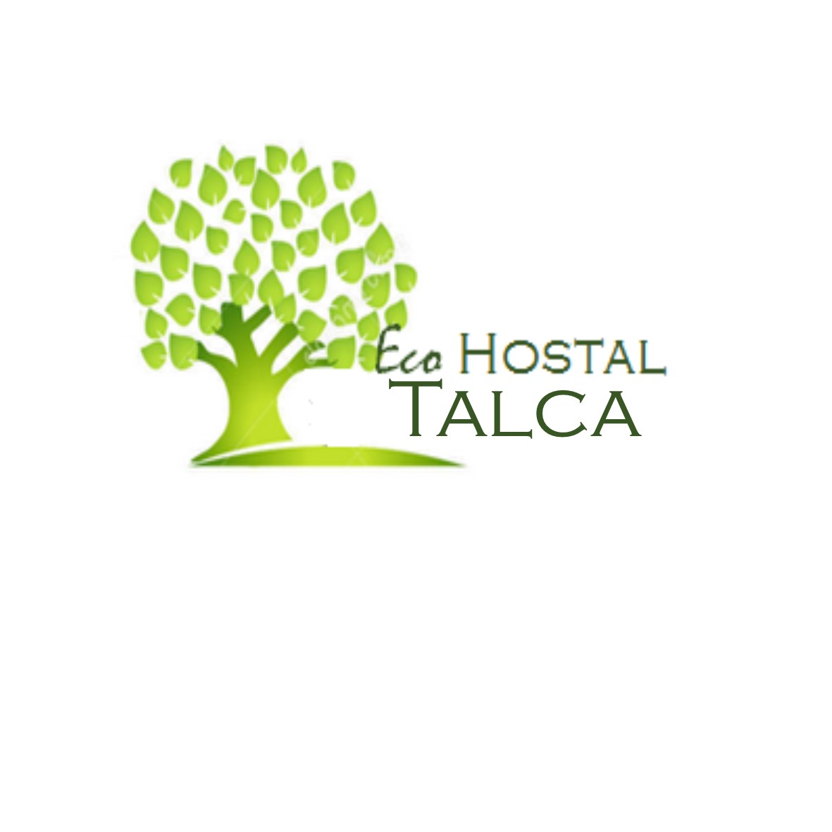 Logo Eco Hostal Talca