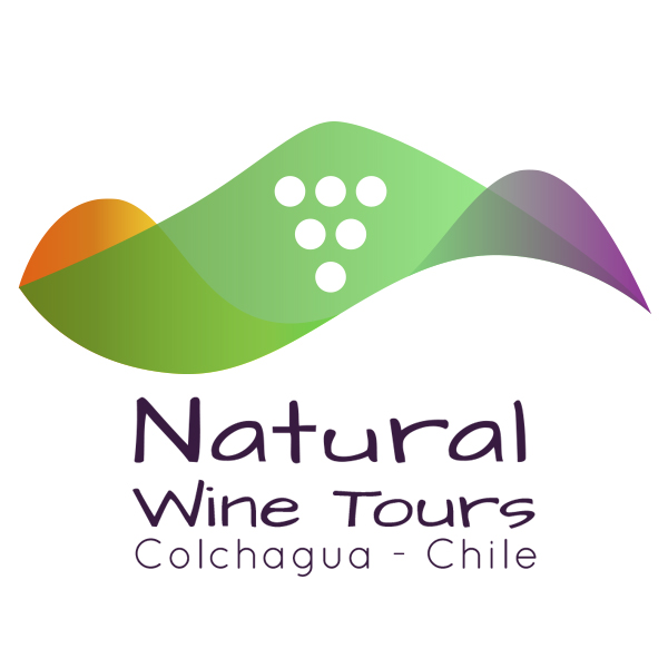 Logo NATURAL WINE TOURS