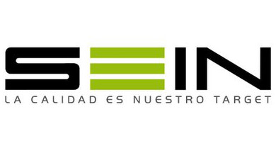 Logo SEIN Consultoría en Internet SpA