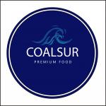 Logo COALSUR LTDA