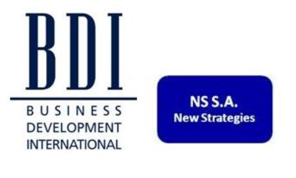 Logo BDI & NS